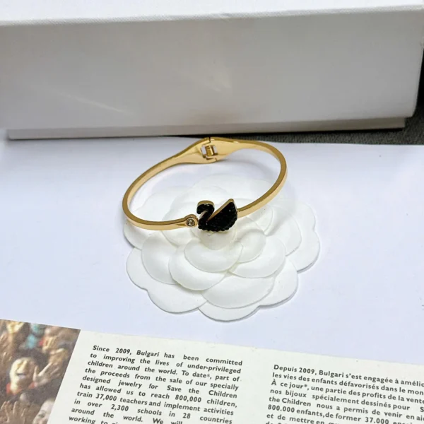 Luxury Affinity Charm Slider Bracelet Free Shipping